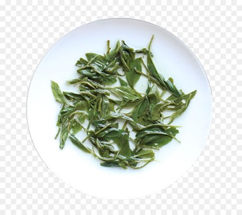 Green tea Black tea Camellia sinensis - A soaked tea 
