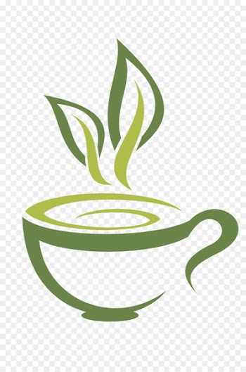 Green tea Coffee White tea Teacup - Fuding white tea tea vector material 