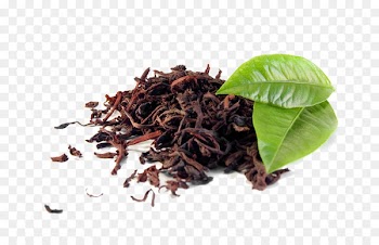 Green tea Darjeeling tea Black tea Assam tea - tea 