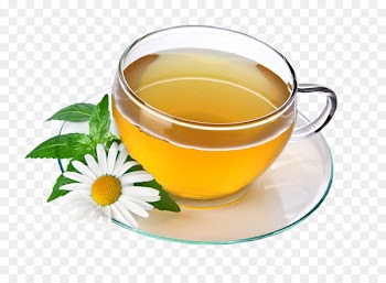 Green tea Herbal tea Drink - Tea PNG Pic 