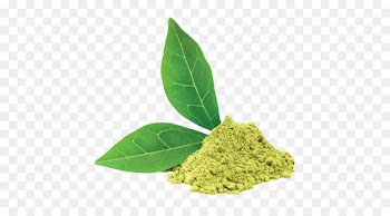 Green tea ice cream Latte Matcha - green tea 