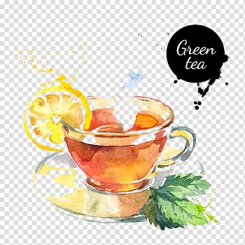 Green tea illustration, Green tea Watercolor painting Drawing, Watercolor lemon tea transparent background PNG clipart