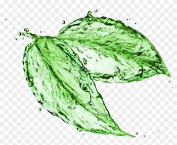 Green Tea Matcha Water Stock Photography - Natural Clean Products Logo