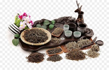 Green tea Oolong Black tea Tea bag - Tea tea 
