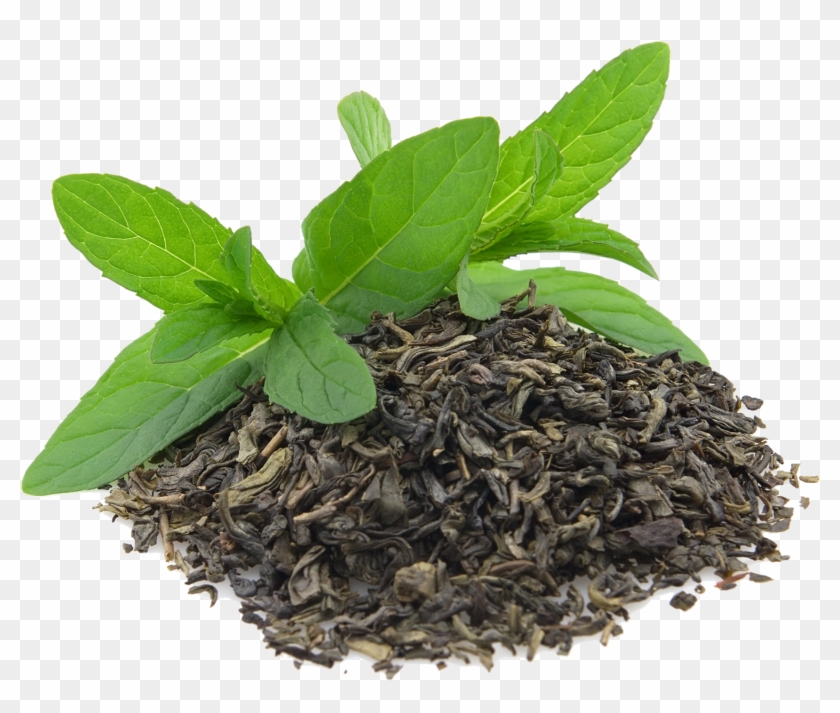 Green Tea Png Transparent Images - Green Tea Leaves