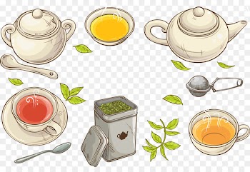 Green tea Teacup Tea strainer - Vector white tea cup and 