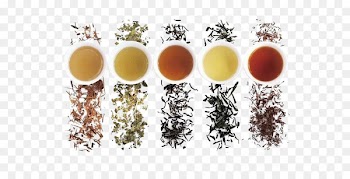 Green tea White tea Oolong Yum cha - Five different colors of tea and tea 