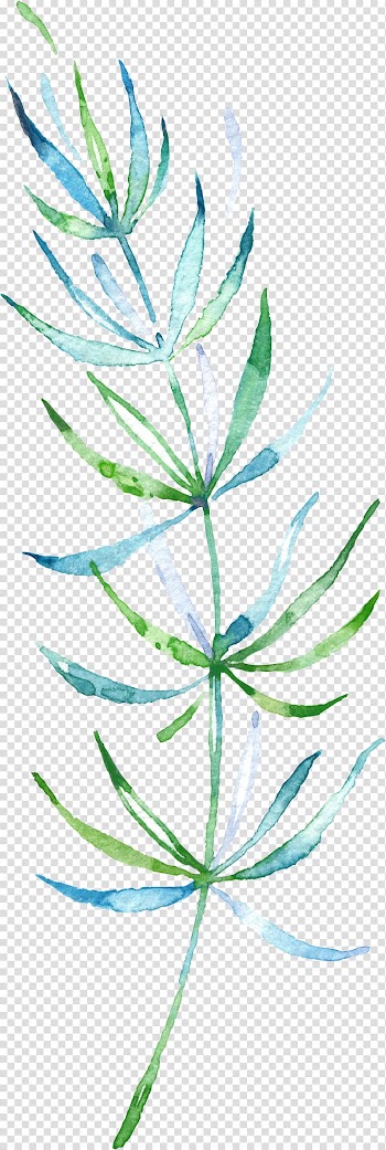 Green, teal, and white fern illustration, Watercolor painting Leaf , Drawing plant transparent background PNG clipart