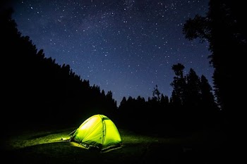 green tent on forest during night time