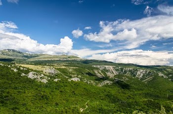 green terrain under clear sky