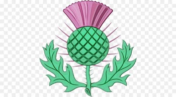 green thistle leaf plant clip art
