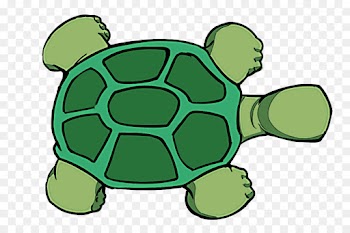 green tortoise sea turtle turtle clip art