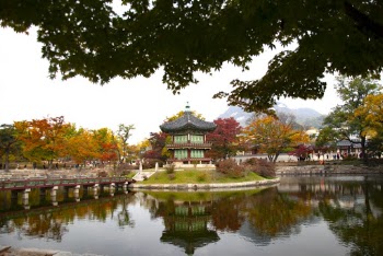 Green Tower Near Pond