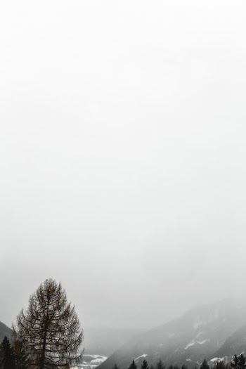 green tree