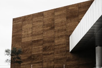 Green Tree Beside Brown and White Concrete Structure