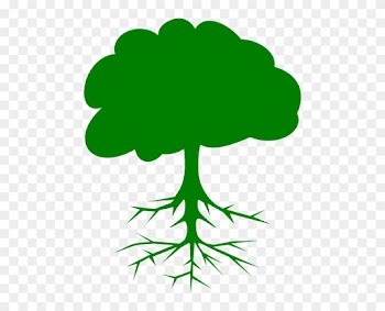 Green Tree Clip Art At Clkercom Vector Online - Tree Clip Art
