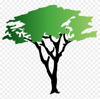 Green Tree Clipart - Acacia Tree Clipart
