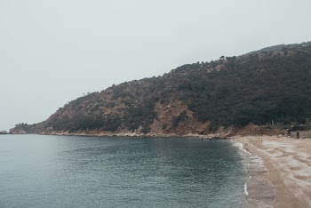 Green Tree Covered Mountain Near Body of Water