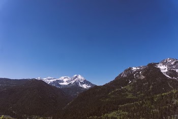 green tree covered mountain under blue sky