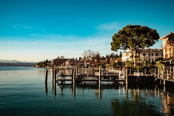 Green Tree Near Dock and White Buildings