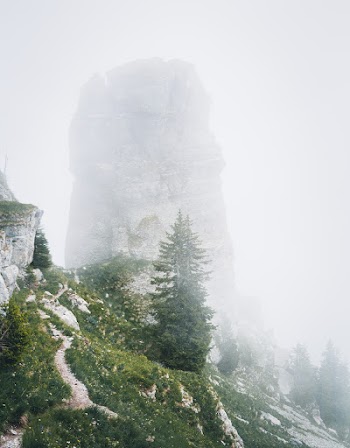 Green Tree on Mountain Under Cloudy Sky