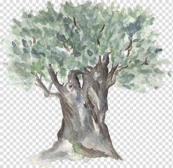 Green tree painting, Hand-painted watercolor trees transparent background PNG clipart