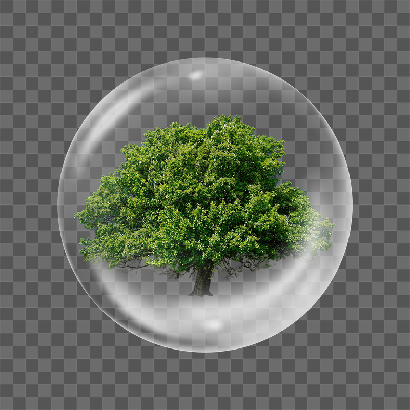 Green tree png sticker,  | Free PNG - rawpixel