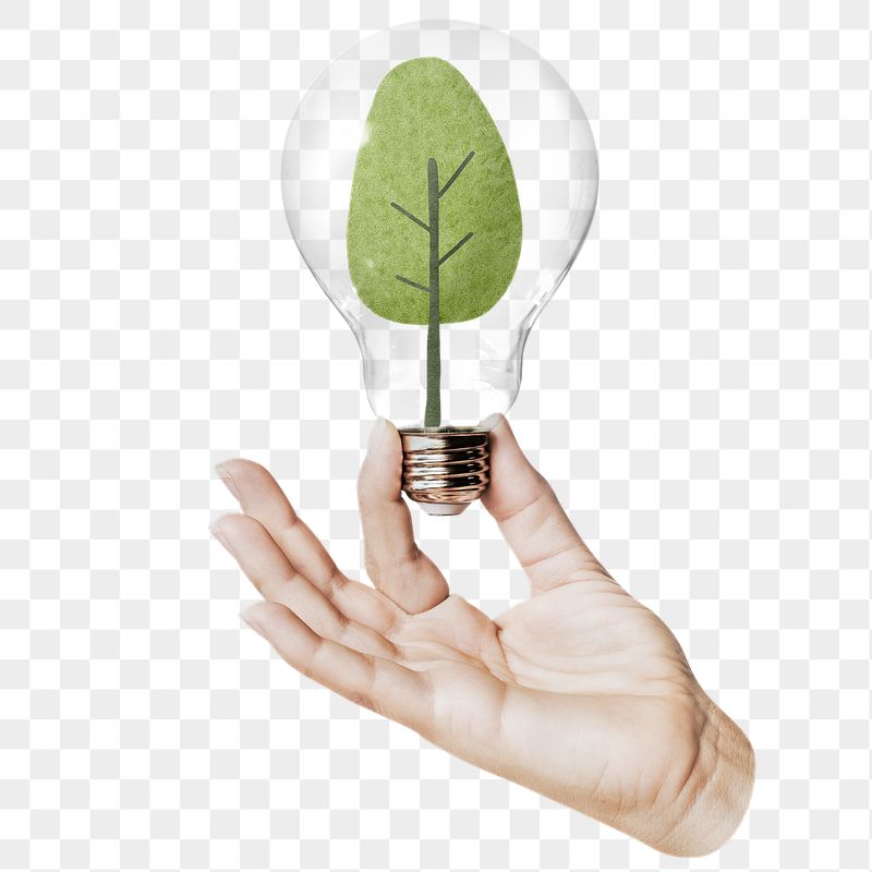 Green tree png sticker, hand | Free PNG - rawpixel