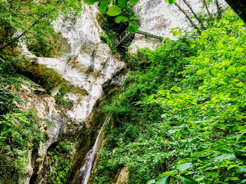 Green Trees