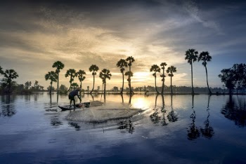 Green Trees Across Calm Body Of Water