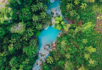green trees and blue lake