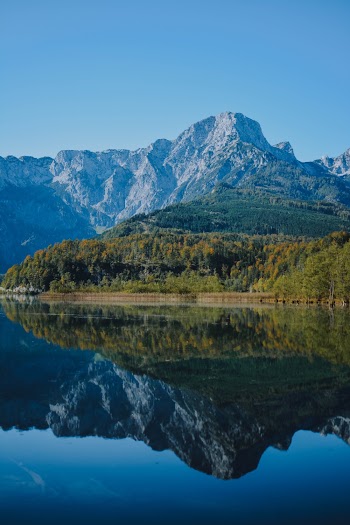 Green Trees And Body Of Water