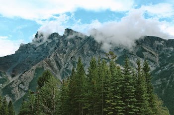 green trees and brown mountains under white sunny cloudy sky