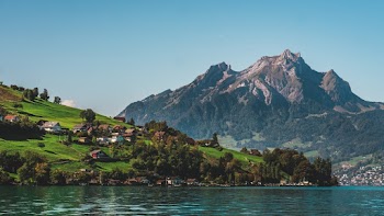 Green Trees and Green Trees