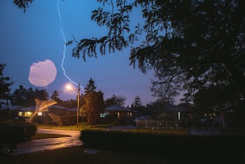 Green Trees and Lightnings during Nighttime