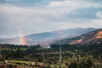Green Trees and Mountain