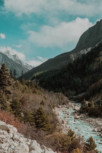 Green Trees and Mountain Ranges