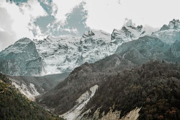 Green Trees and Mountain Ranges during Winter
