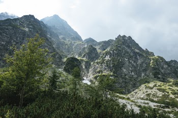 Green Trees and Mountain Under Cloudy Sky
