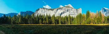 Green Trees and Rocky Mountain