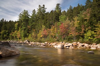 Green Trees and Rocky River