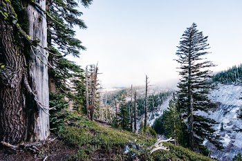 Green Trees and Snow Covered Mountain Under White Clouds