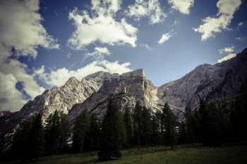 Green Trees at the Foot of the Mountain