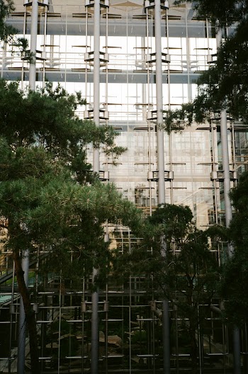 Green Trees Beside Gray High-rise Building