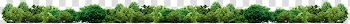 Green trees , Green Grasses Family, forest transparent background PNG clipart