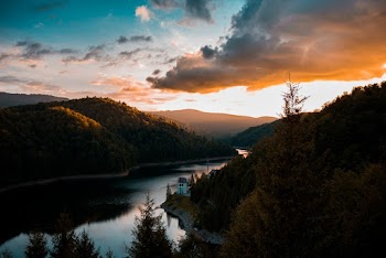 Green Trees Near Body of Water During Golden Hour