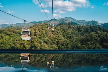 Green Trees Near Body of Water Under Blue Sky
