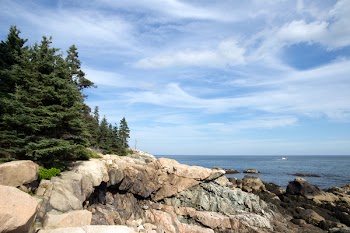 Green Trees Near Brown Cliff and With Overview of the Sea