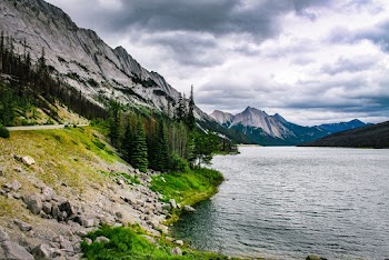 Green Trees Near Glacier Mountains and Lake