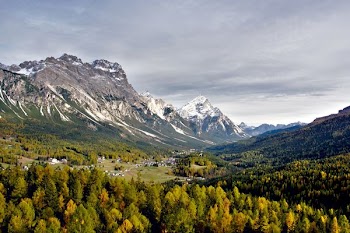 green trees near gray mountain